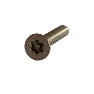 Hoyles FIX/19 Pack of 2 anti tamper screws M4 counter sunk Pin Torx