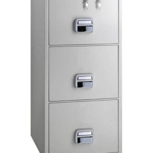eagle 2 door fire resistant safe
